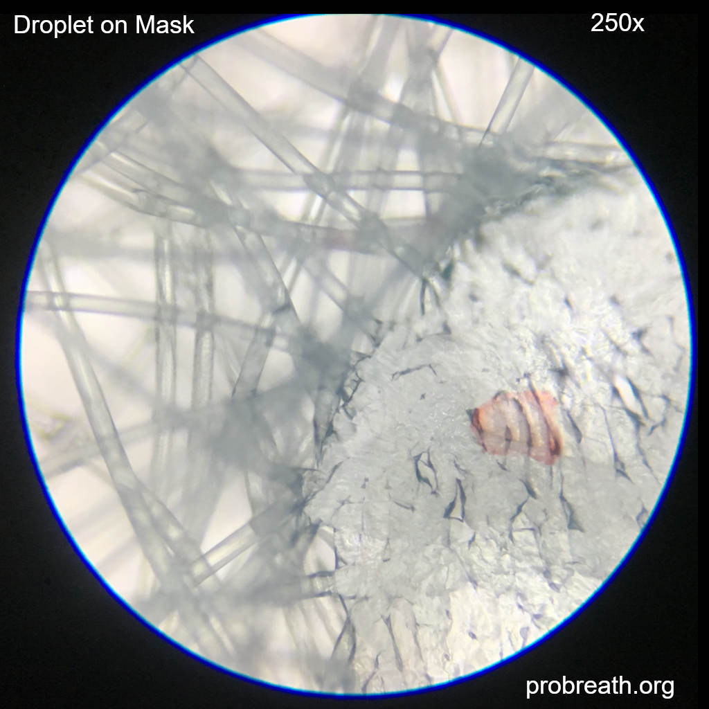 Masks Under the Microscope